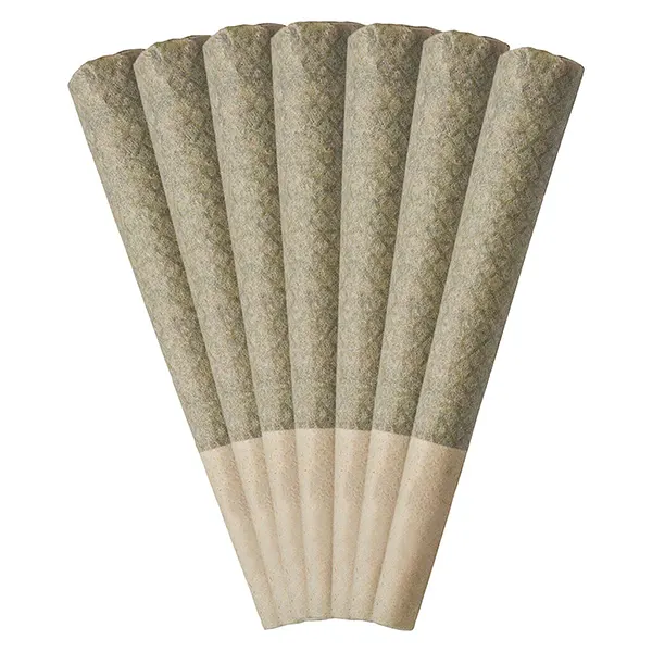 Image for Wagyu Delight Pre-Roll, cannabis all products by Nugz