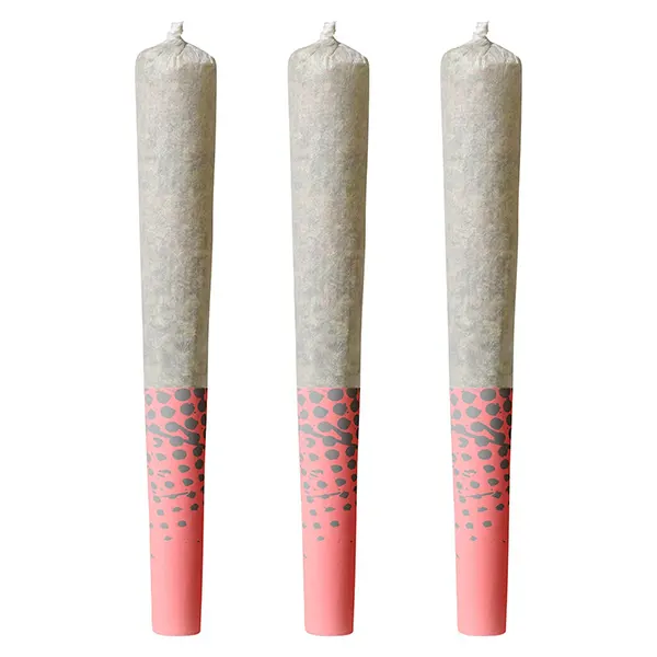 Blueberry Dream Pre-Roll (Pre-Rolls) by Big Bag O' Buds