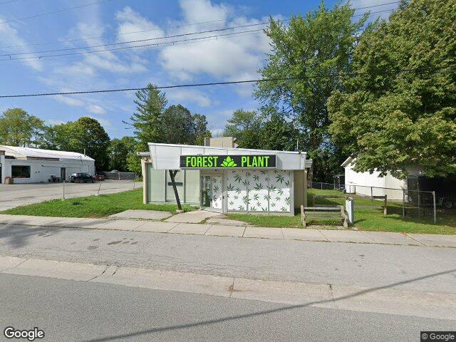 Street view for Forest Plant, 254 Pefferlaw Rd, Pefferlaw ON