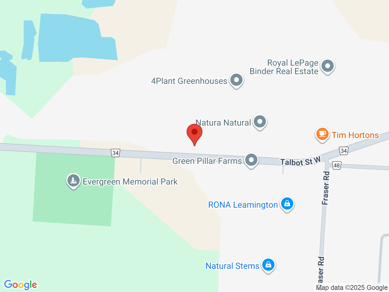 Street map for Automatic Ganja, 317 Talbot St W, Leamington ON