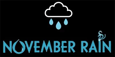 Brand Logo (alt) for November Rain, 321 Water St #330, Vancouver BC