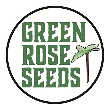 Logo for Green Rose Seeds