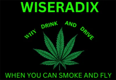 Logo image for Wiseradix, Windsor, ON